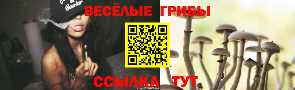 Псилоцибиновые грибы Cubensis Кимовск